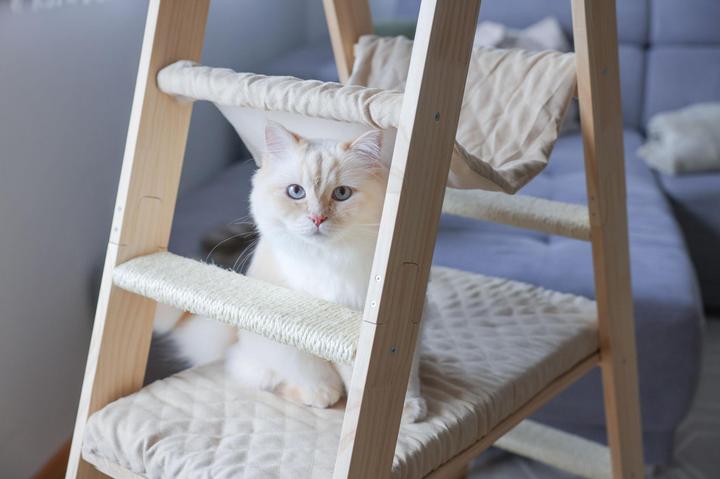 Produktbild Kerbl Kratzbaum Ladder für Katzen (134 cm, Beige, Braun, Wood colour)