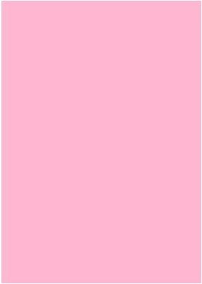 Actual product image Stewo Colour (Wrapping paper, 1 x)