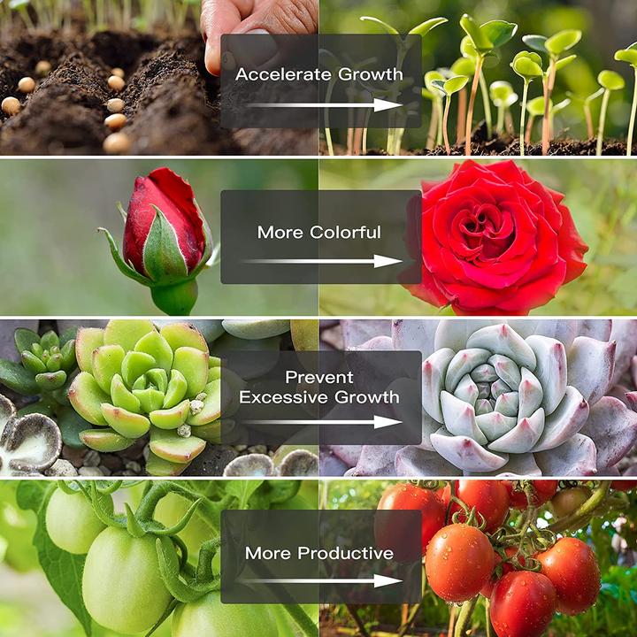 Produktbild Relassy 8 Streifen (LED, 12 V)