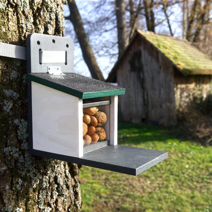 Actual product image Holznager Squirrel Feeder Weatherproof