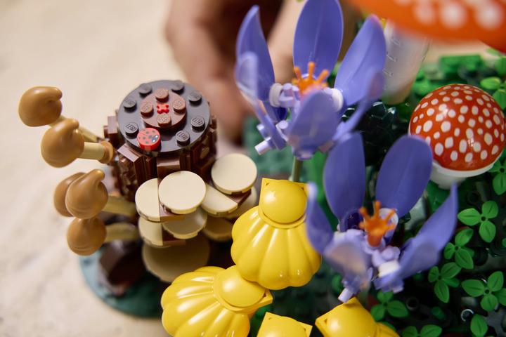 Produktbild LEGO Waldpilze (11505, LEGO Botanicals)