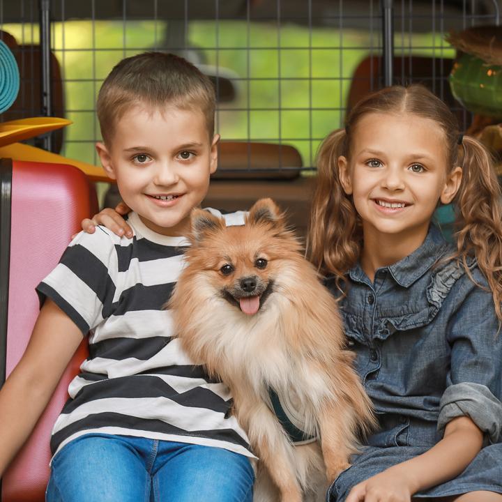 Immagine prodotto Relaxdays Recinto per cani (Cane, Chiusura di sicurezza)