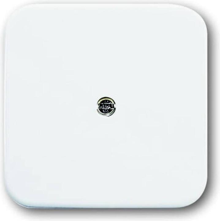 Produktbild Busch-Jaeger Zentralscheibe