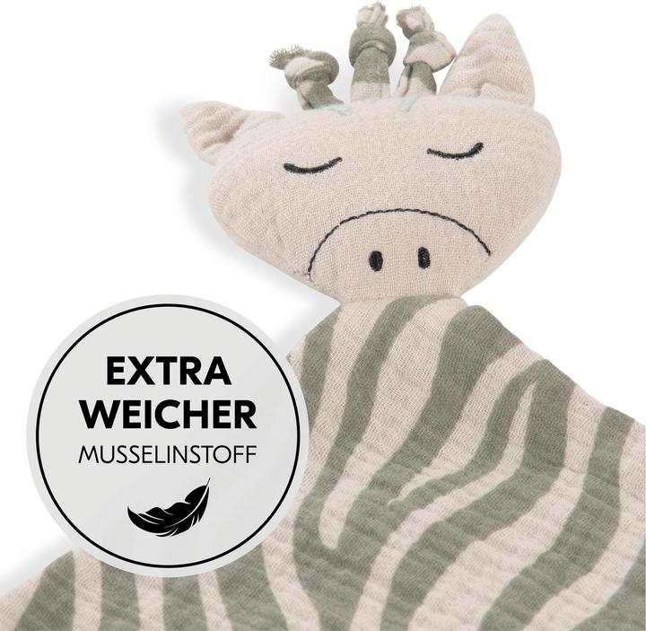 Produktbild Hauck Cuddle N Play Zebra Sage