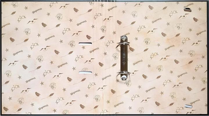 Image du produit Erik Harry Potter - Vif d'Or 2 Anneaux (A4, 1 pcs)