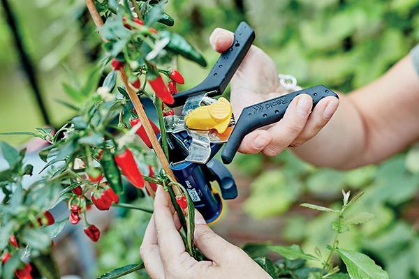 Image du produit Rapid GP238 Pince à lier (160 mm)