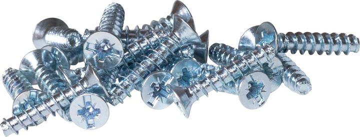 F-Tronic Viti per dispositivi ftronic 32x15mm E15216 (100 Viti per pezzo)