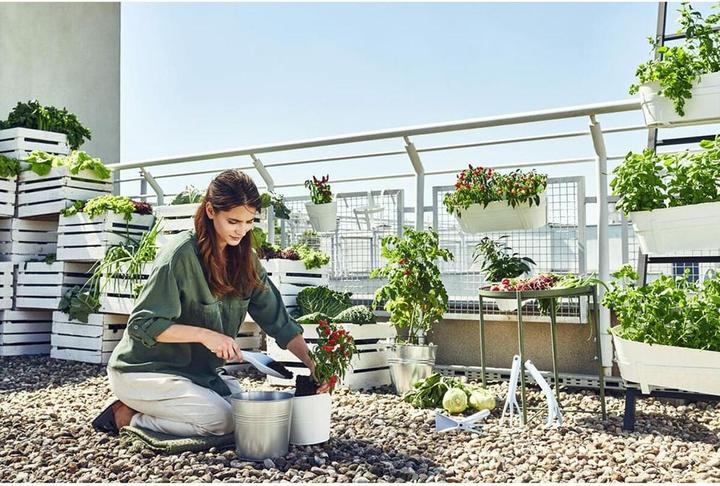 Produktbild Cellfast Werkzeugsatz Pastel