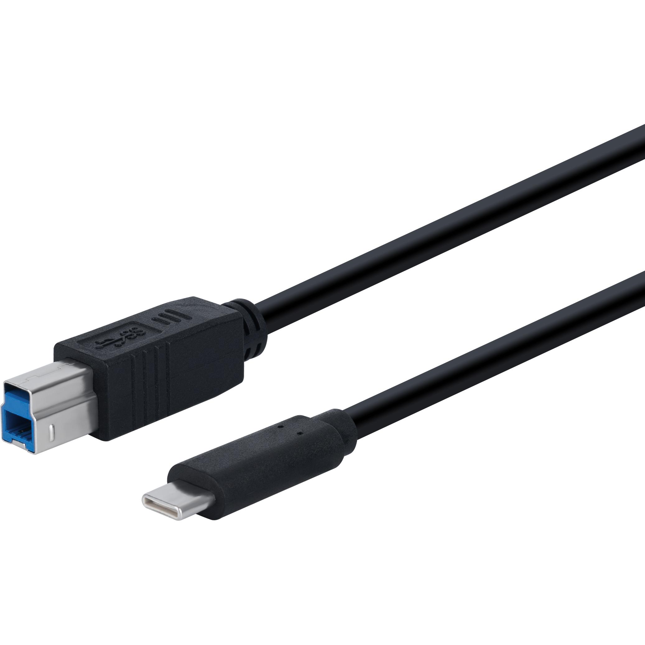 Fuj Tek USB-C 3.0 to USB-B Cable, 1m (1 m, USB 3.0), USB Kabel