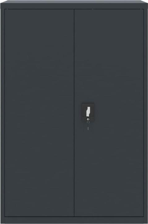 Actual product image vidaXL Aktenschrank (90 x 40 x 180 cm)