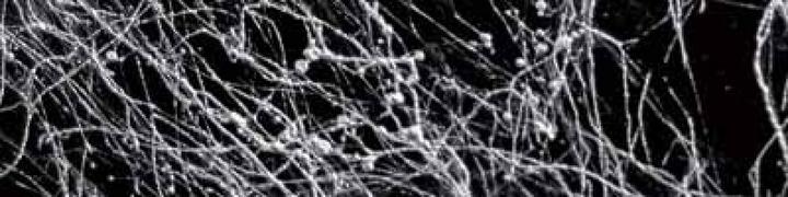 Produktbild Dupli-Color Marble Spray (Silber, 0.20 l)