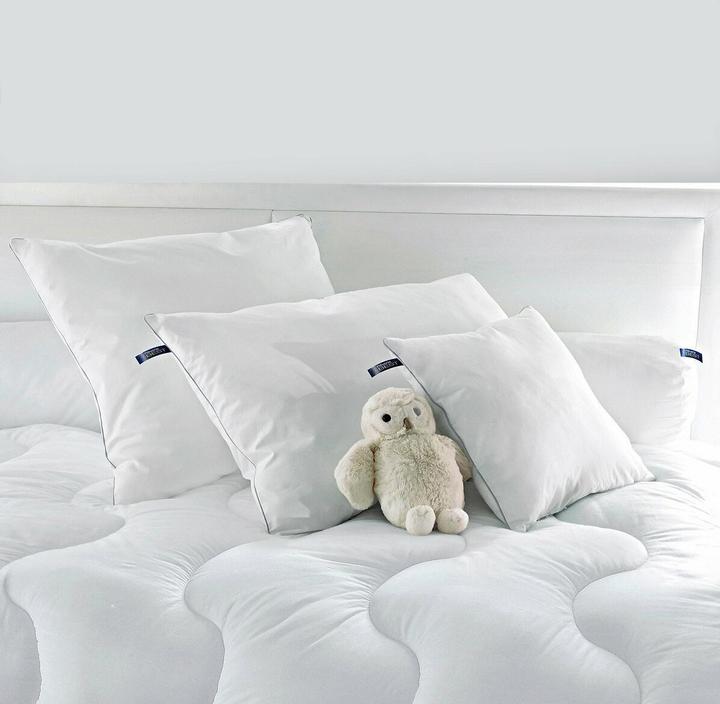 Image du produit La Redoute Interieurs 350236710 (40 x 60 cm)