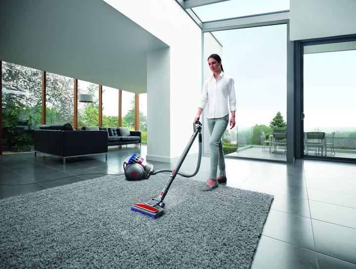 Produktbild Dyson Big Ball Allergy 2
