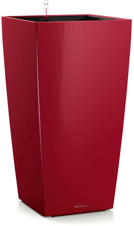 Scarlet Rot Hochglanz