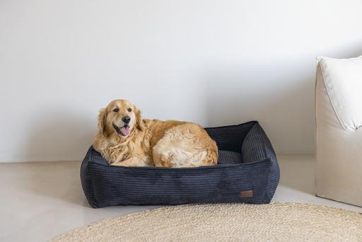 Immagine prodotto Designed by Lotte A coste (Cane)