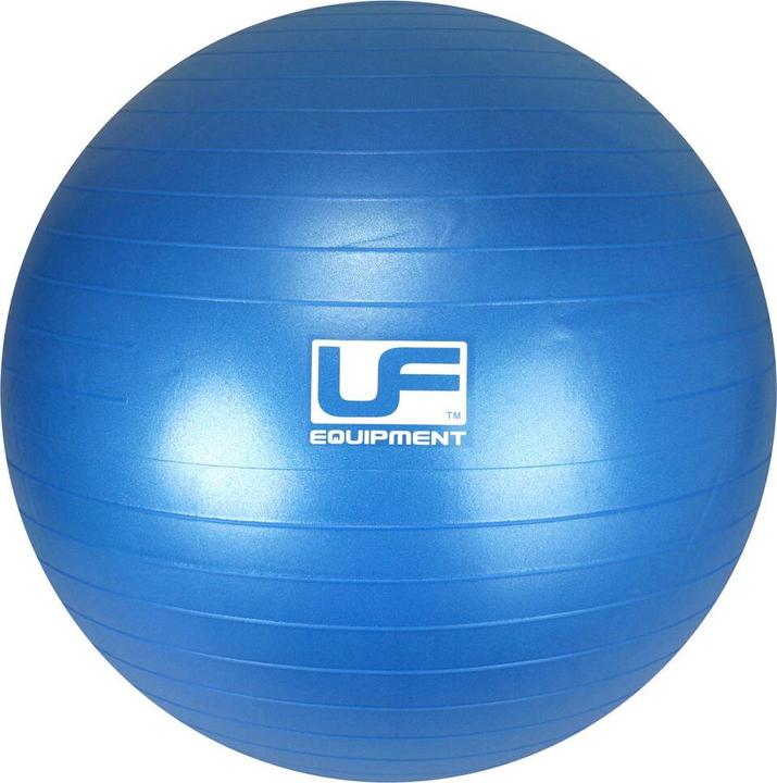 Urban Fitness schweizer gymnastikball mit berstwiderstand (65 cm)