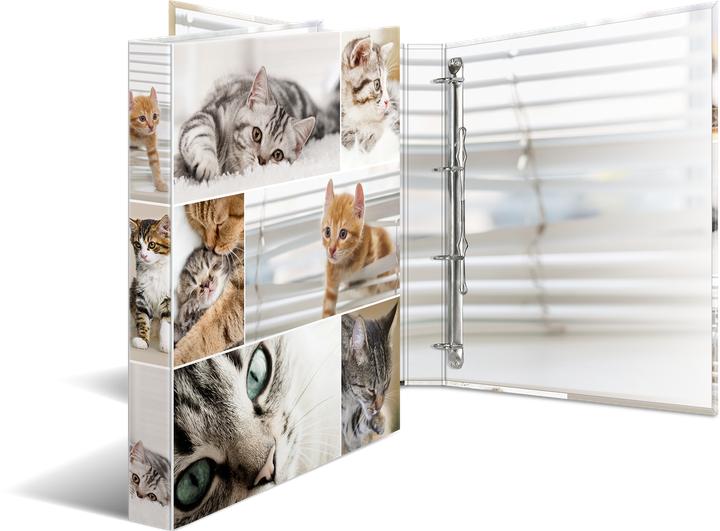 Actual product image HERMA A4 ring binder motif (A4, 35 mm, 1 pcs.)