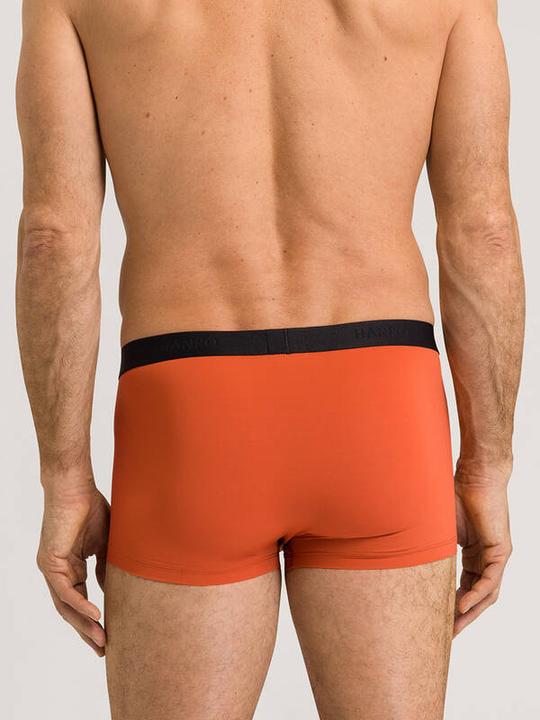 Actual product image Hanro Micro Touch Pant (S)