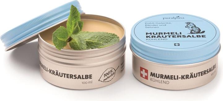 Image du produit Puralpina Pommade aux herbes Murmeli (1 x, 100 ml, 100 g)