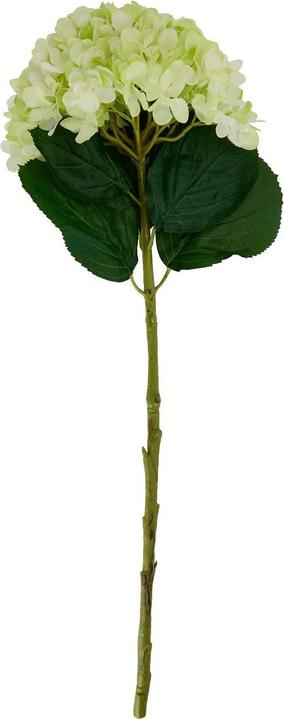 Immagine prodotto Hill Interiors Ortensia Fiore Artificiale (73 cm)