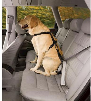 Image du produit Kurgo Tru-Fit (L, Chien, Général)