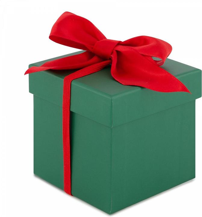 Image du produit Stewo Geschenkbox Dark Green Cube (10x10x10cm)