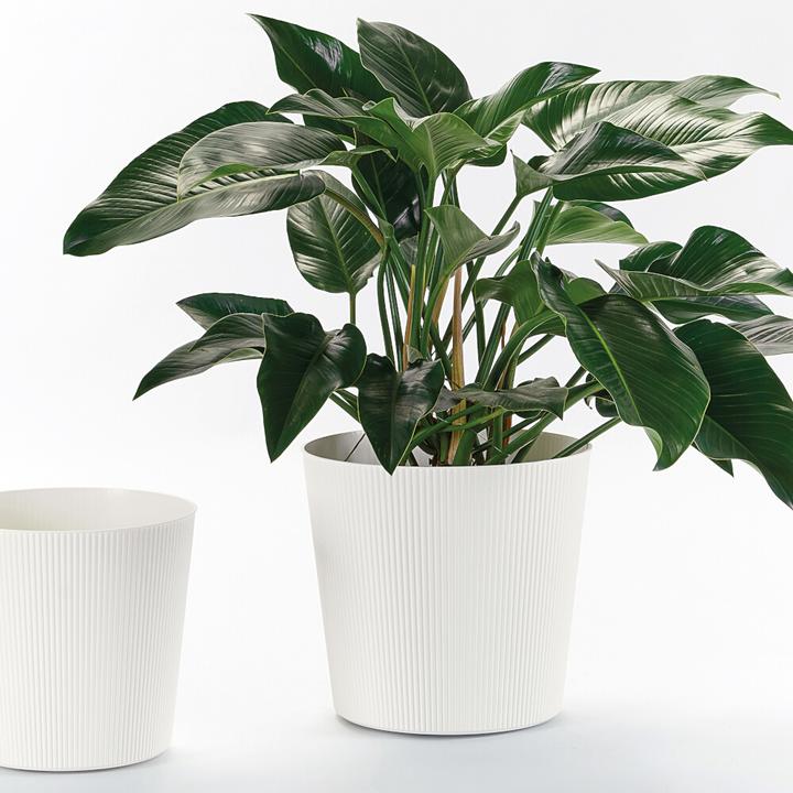 Produktbild Euro3plast Blumentopf Fyre Ø 35 cm weiss Greener, mit Rollen