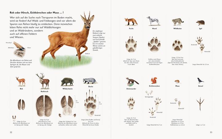 Produktbild Wawra's Naturbuch, Band 1: Säugetiere, Vögel, Reptilien, Amphibien (Deutsch, Johannes Wawra, Ursula Wawra, 2020)