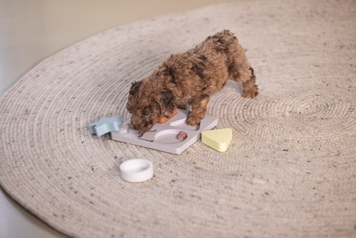Productafbeelding Beeztees Puppy braingame Lot (Intelligentie speelgoedhond)