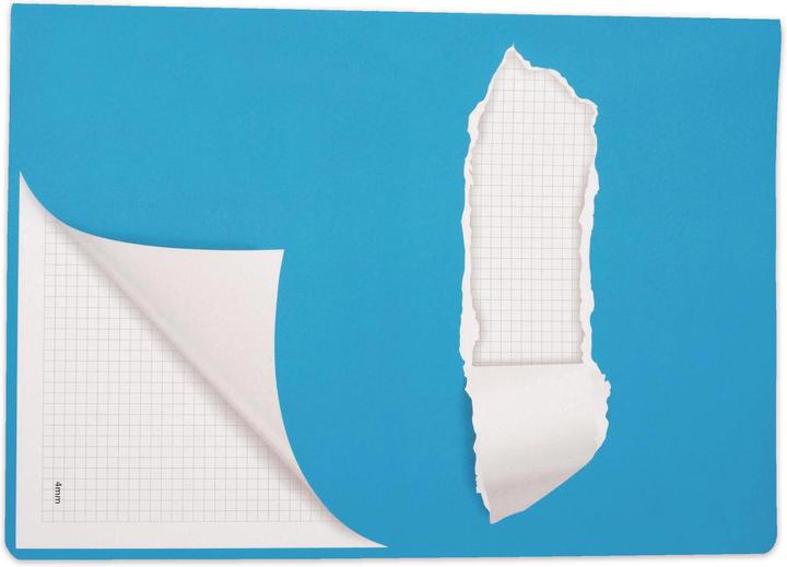 Produktbild Elco Schulheft 4 mm kariert mit Rand A4 (21 x 29.7 cm, Kariert, Weicher Einband)