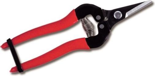 Actual product image ARS Harvesting shears 300SS