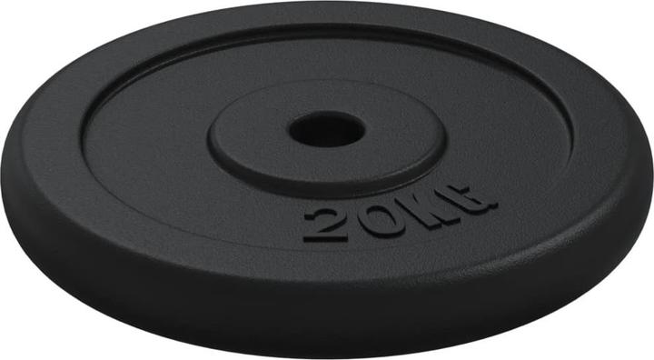 Immagine prodotto vidaXL Hantelscheibe (1 x 20 kg)