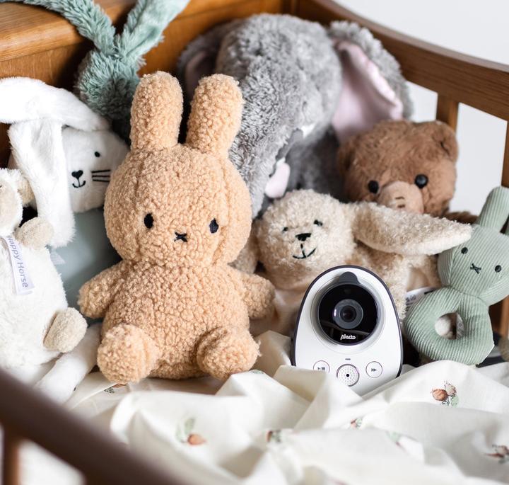 Productafbeelding Alecto Baby videobewaking (Video & Audio, 50 m)