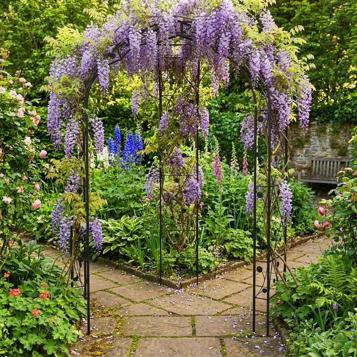 Immagine prodotto Relaxdays Padiglione per rose (178 cm, 178 cm)