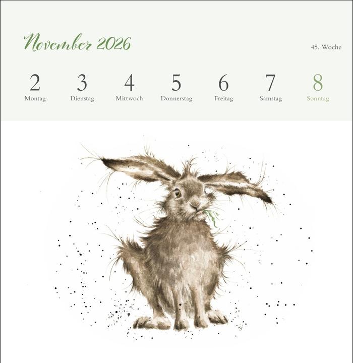 Produktbild Hannah Dale: Happy Animals Premium-Postkartenkalender 2026 (165 x 177 mm, Kein Einband, Deutsch)