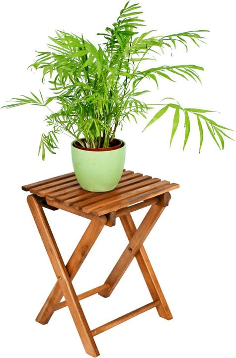Actual product image Garden Pleasure Tacoma