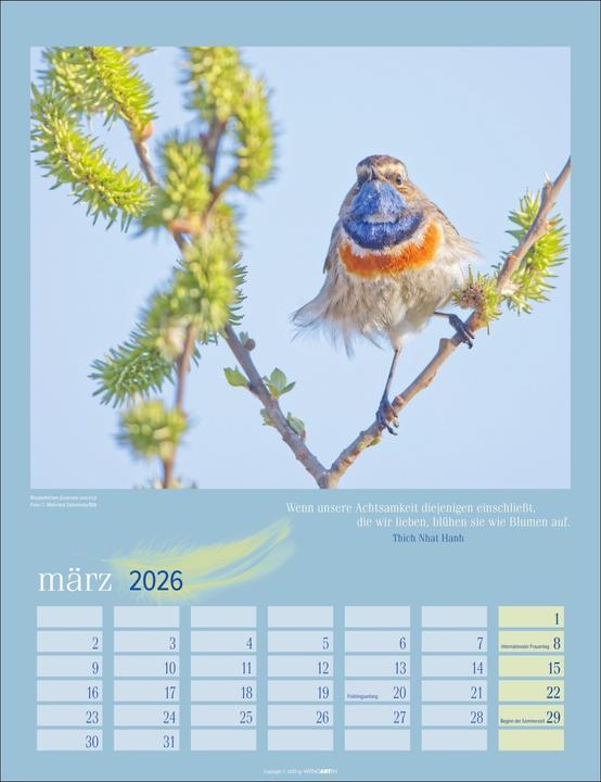 Produktbild Heimische Vögel Kalender 2026 (30 x 39 cm, Deutsch)