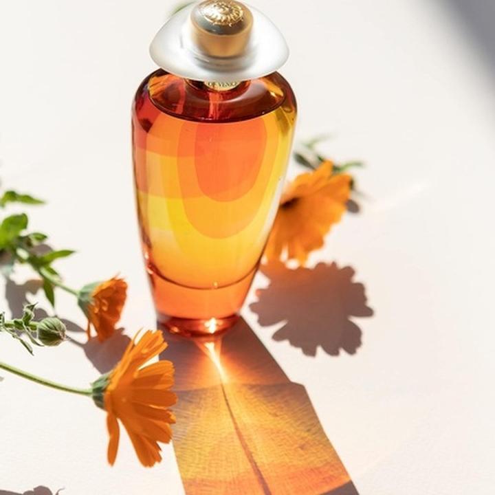 Actual product image The Merchant of Venice Murano Art Collection (Eau de parfum, 100 ml)