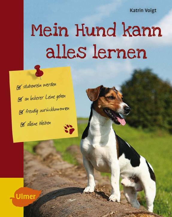 Produktbild Mein Hund kann alles lernen (Deutsch, Katrin Voigt, 2016)