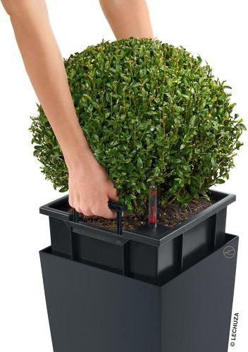 Produktbild Lechuza Cubico (29.50 cm)