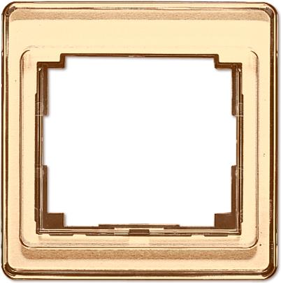 Actual product image JUNG Frame