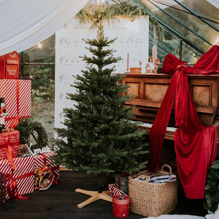 Produktbild Treehouse Weihnachtsbaum (150 cm)