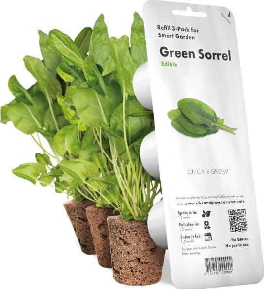 Produktbild Click and Grow Sauerampfer (Kräutersamen)