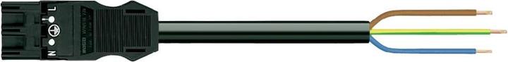 Actual product image Wago Connection cable (3 m)