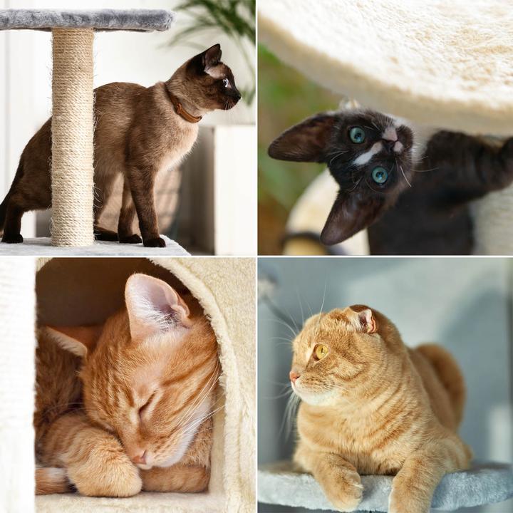 Produktbild Wiltec Kratzbaum 141cm Katzenbaum Katzenkratzbaum Kletterbaum Katze (141 cm, Grau)