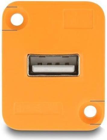 Actual product image Delock D-type module USB 2.0 type A socket to socket orange (0.04 m, USB 2.0)