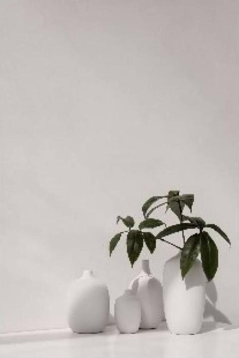 Produktbild Blomus Vase Ceola ø 8x18 cm (1 x, 8 x 8 x 18 cm)