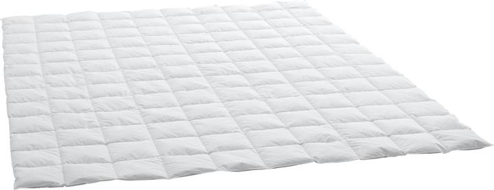 Produktbild Swiss Dream by billerbeck Caro Basic 90 (310 g, 160 x 240 cm)