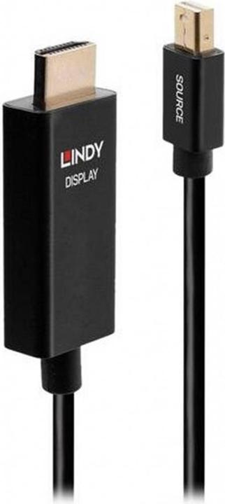 Actual product image Lindy Video cable DisplayPort / HDMI (3 m, Other, 2.0)