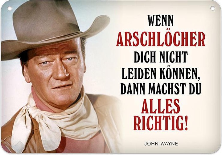 Tin Sign Wayne (16.5 x 11.5 cm)